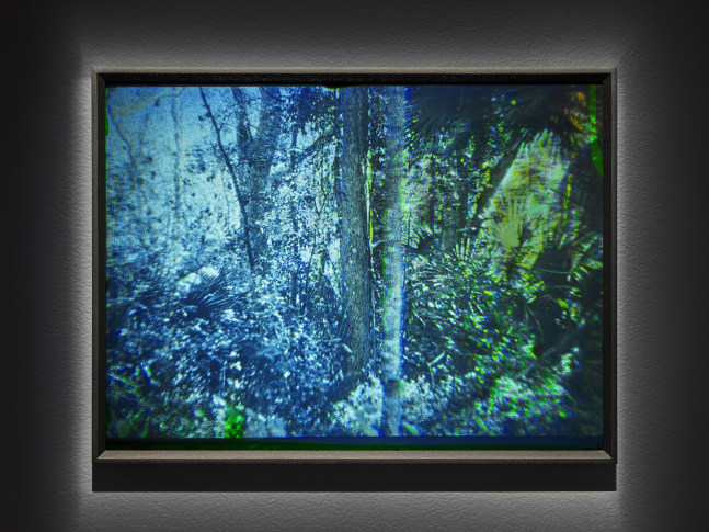 Matthew Schreiber

Cassadaga, Vortex #5, 2011
silver halide reflection hologram on glass, unique
12 1/2 &amp;times; 16 1/2 &amp;times; 1 1/2 in. / 31.8&amp;nbsp;&amp;times; 41.9&amp;nbsp;&amp;times; 3.8 cm