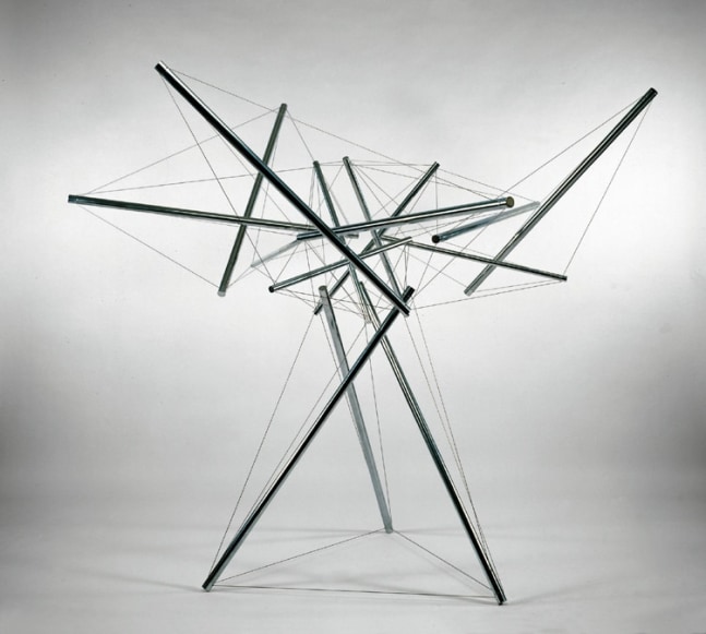 B-Tree II, 1981-2008

stainless steel, unique

108 x 114 x 130 in. / 274.3 x 289.6 x 330.2 cm