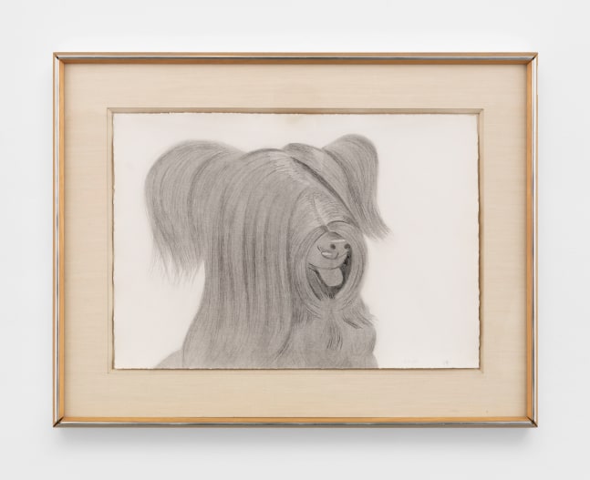 Framed aquatint/drypoint drawing of a dog with shaggy long hair covering its eyes and featuring its tongue sticking out