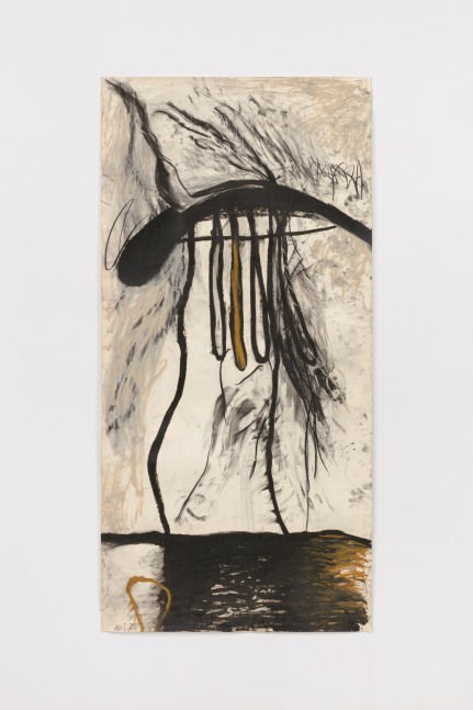 Laura Anderson Barbata
Planta m&amp;aacute;gica Kaahl/Magic Plant Kaahl, 1994

graphite, charcoal, and oil pastel on paper

68 7/8 x 33 1/2 in. / 174.9 x 85.1 cm