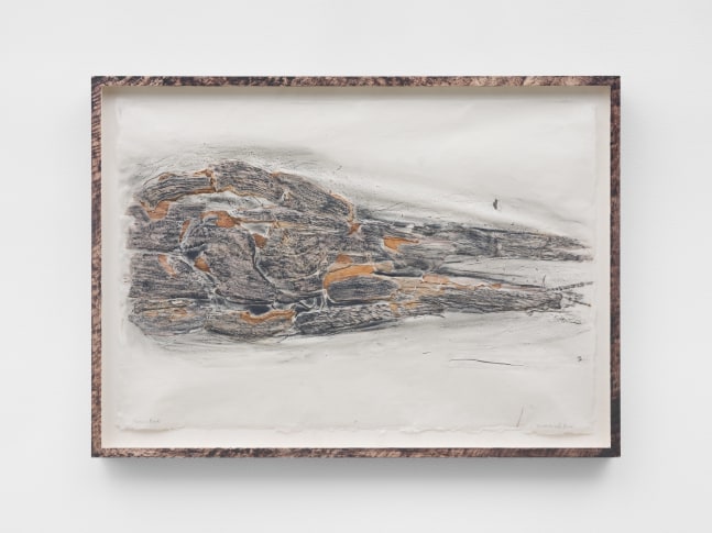 Michele Oka Doner

Corvin Beak, 2013/2020
organic material, charcoal cont&amp;eacute;, and abaca paper in artist&amp;rsquo;s frame

image: 25 &amp;times; 36 in. / 63.5 &amp;times; 91.4 cm

framed: 28 3/4 &amp;times; 39 1/2 in. / 73 &amp;times; 100.3 cm&amp;nbsp;