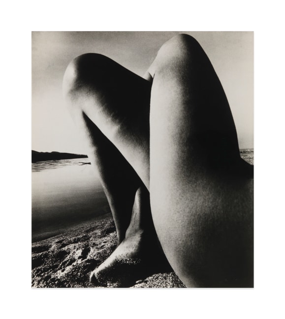Nude, St. Cyprien, France, October 1951

gelatin silver print

image: 13 1/8 x 11 5/8 in. / 33.3 x 29.5 cm

sheet: 15 1/2 x 12 in. / 39.4 x 30.5 cm

recto: signed, lower right

verso: signed