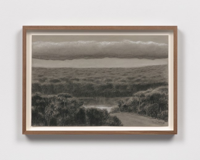Work on paper depicting a river in the forest by Tomás Sánchez