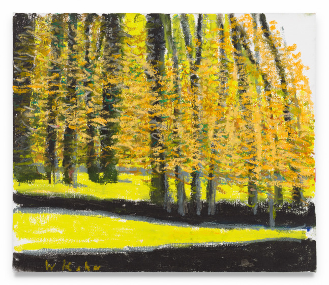 Wolf Kahn

Early Fall, 2019

Oil on canvas

24h x 28w in

WK043