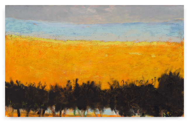 Wolf Kahn

Warm Yellow, 2013

Oil on canvas

20h x 32w in

WK041