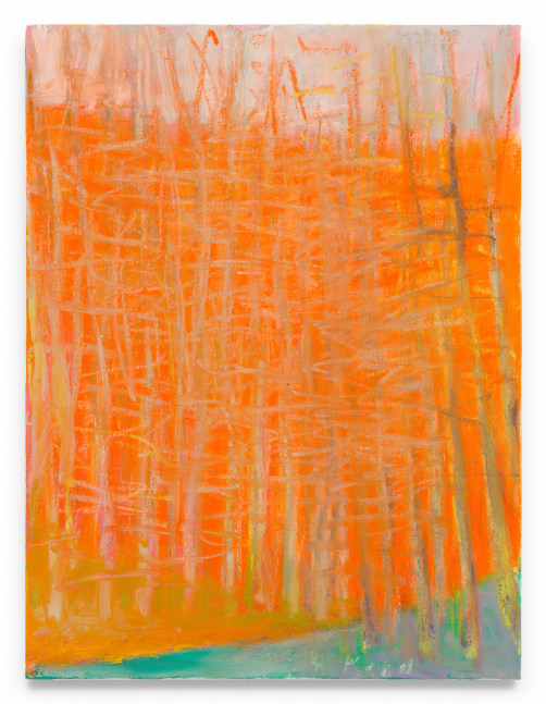 Wolf Kahn

Trying to Obliterate Orange, 2010

Oil on canvas

24h x 18w in

&amp;nbsp;