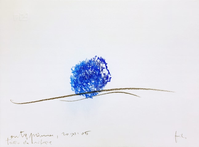 Luciano Fabro anteprima, tutto da rifare (preview, all to be redone), 2005