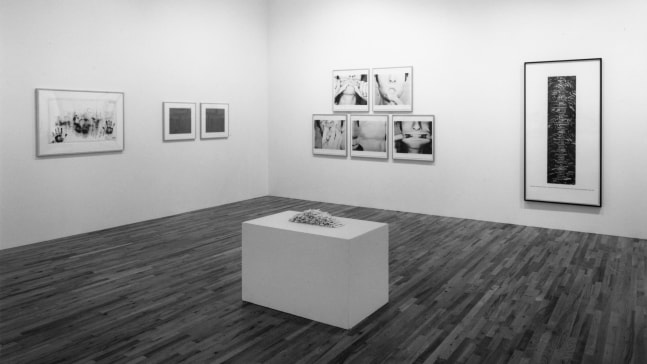 Installation view, Group Exhibition, Paula Cooper Gallery, 149 Wooster Street, New York, September 7 - 28, 1991. Photo: Geoffrey Clements.