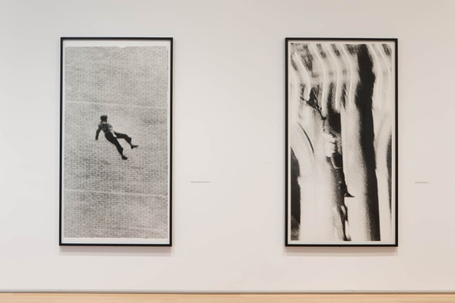 Stills, 1980. Installation view, Art Institute of Chicago, 2014, © The Estate of Sarah Charlesworth.