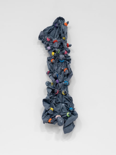 Veronica Ryan (Detail) Section, 2017 - 2021 pillow case, hair bands, (elastic) twine