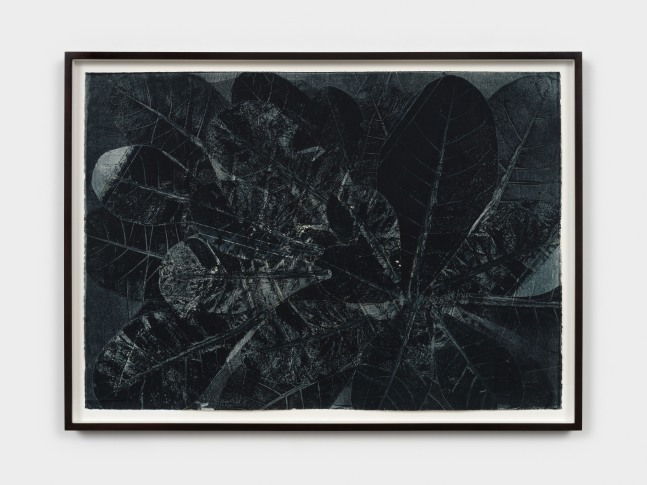 Terry Adkins Botanical Print 278, 2005 unique collagraph 29 5/8 x 41 5/8 in. (75.2 x 105.7 cm) frame: 32 3/4 x 44 3/4 x 1 7/8 in. (83.2 x 113.7 x 4.8 cm)
