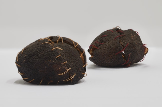Zoe Leonard, Two Oranges, 1992 two oranges, thread, wax