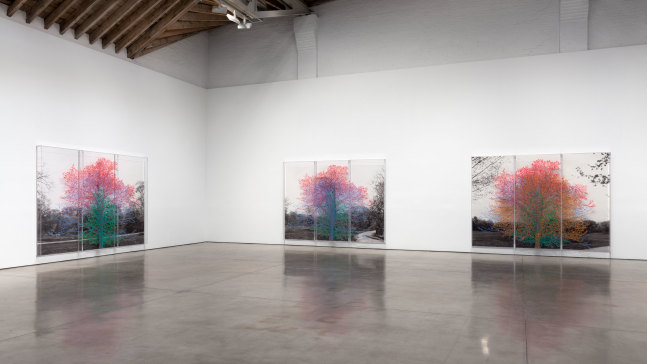 Installation view, Charles Gaines, March 31 – April 30, 2016