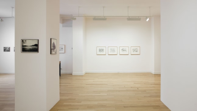 Installation view, Beatrice Caracciolo, Cercare nella Terra, February 5 – March 19, 2011