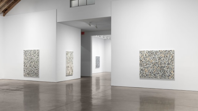 Installation view, Julian Lethbridge, February 16 – March 18, 2017