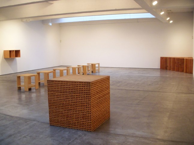 Installation view, Wood, Paula Cooper Gallery, 521 W 21st Street, New York. February 2 - March 1, 2008.