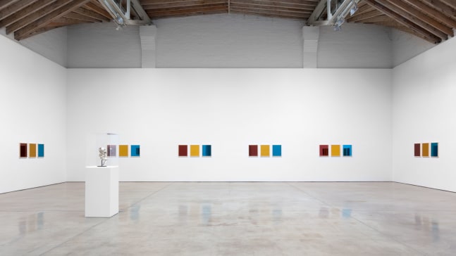 Installation view, Sherrie Levine, Red Yellow Blue, April 17 – May 27, 2014