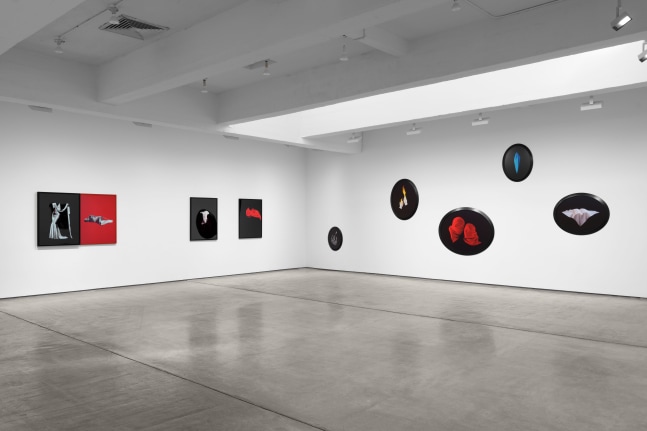 Installation view, Sarah Charlesworth: Desire and Seduction,  Paula Cooper Gallery, New York, February 20– March 29, 2025. © The Estate of Sarah Charlesworth. Courtesy Paula Cooper Gallery, New York. Photo: Steven Probert