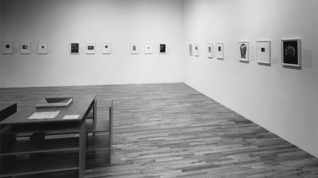 Installation view, A Bestiary, Paula Cooper Gallery, 149 Wooster Street, New York, May 30 - June 28, 1991. Photo: Geoffrey Clements.