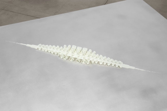 Installation view of Org (2023) in Tauba Auerbach: Free Will, Paula Cooper Gallery, New York, March 18 - April 22, 2023. Photo: Steven Probert