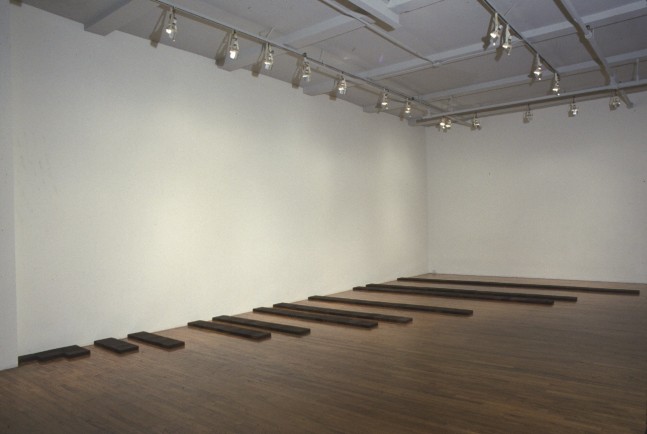 Carl Andre &quot;Tree Bones&quot; 1974 198 creosoted wood blocks 1 5/8&quot; x 352&quot; x 212 3/4&quot; overall