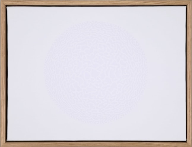 Céleste Boursier-Mougeno "solidvideo madalavirus 04" 2008 Silkscreen on canvas 11 3/4 x 15 3/4 in.