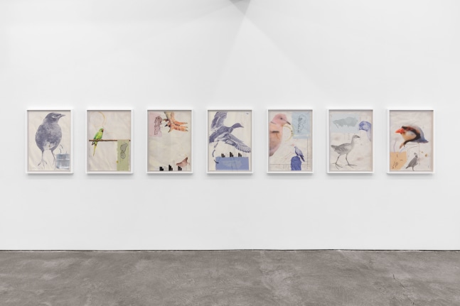 Douglas Huebler, Sherrie Levine, Walid Raad