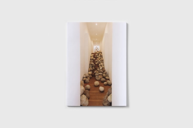 Celeste Boursier-Mougenot UMASS Cover