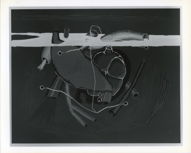 Peter Campus &quot;I forget these aches&quot; 1989 Computer drawing on photographic paper 20&quot; x 24&quot; edition 1/6