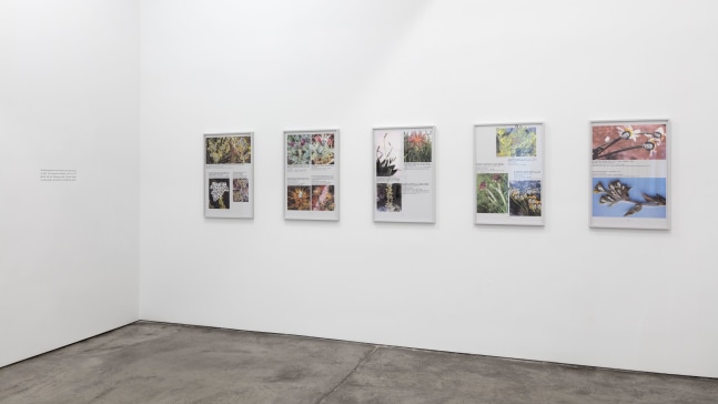 Installation view, Walid Raad, Better be watching the clouds, May 19 – July 14, 2017