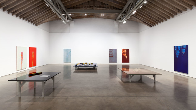 Installation view, Tauba Auerbach, Projective Instrument, January 9 – February 13, 2016