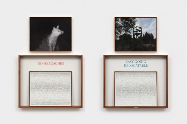 Sophie Calle, On the Hunt, 2000–2010 (No Headaches / Easy-Going Relocatable), 2024, diptych of two text panels and four photographs (color, black and white) in two double-sided frames. © 2025 Sophie Calle / Artists Rights Society (ARS), New York / ADAGP, Paris. Courtesy of Sophie Calle and Paula Cooper Gallery, New York. Photo: Steven Probert