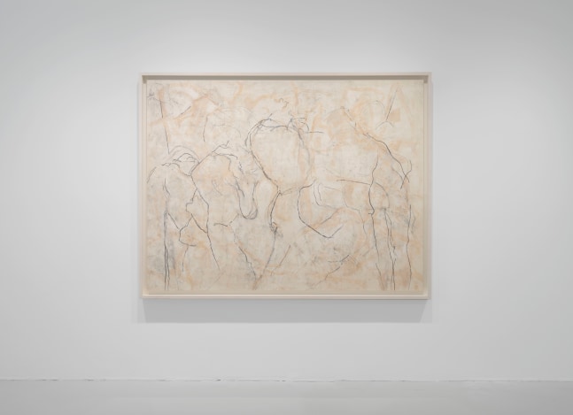 Installation view, Beatrice Caracciolo, Uomini Rosa, 2013, pigment, water soluble chalk, graphite, gouache on Saunders Waterford Paper on canvas, 57 3/4 x 75 1/2 in. (146.7 x 191.8 cm)