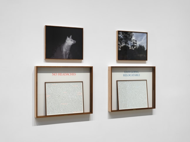 Installation view, Sophie Calle: On the Hunt, Paula Cooper Gallery, New York, September 5 – October 18, 2025. © 2025 Sophie Calle / Artists Rights Society (ARS), New York / ADAGP, Paris. Courtesy of Sophie Calle and Paula Cooper Gallery, New York. Photo: Steven Probert