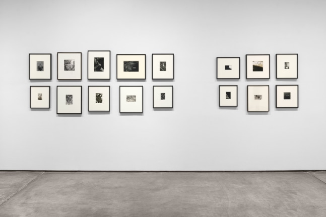 Installation view, Inventing Objects: Jay DeFeo’s Photographic Work, Paula Cooper Gallery, New York, September 9 – October 28, 2023.  © 2023 The Jay DeFeo Foundation/Artists Rights Society (ARS), New York. Photo: Steven Probert.
