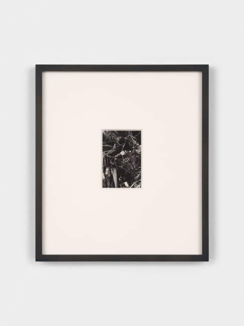 Jay DeFeo Untitled, 1972 gelatin silver print image: 4 3/8 x 3 inches (11.1 x 7.6 cm) sheet: 5 x 4 inches (12.7 x 10.2 cm) frame: 14 1/4 x 12 3/4 x 1 1/4 in. (36.2 x 32.4 x 3.2 cm)