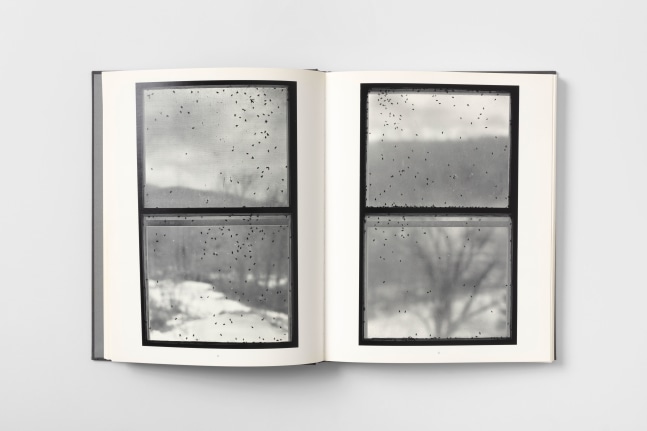 Bing Wright Everyday Pictures 4