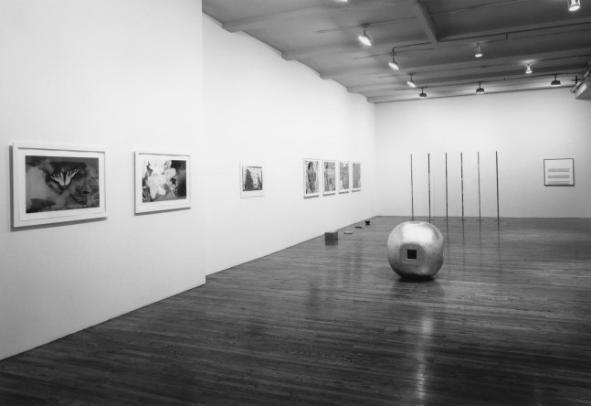 Installation view, Holiday Exhibition, Paula Cooper Gallery, 155 Wooster Street, New York, December 1 - 23, 1994. Photo: Geoffrey Clements.