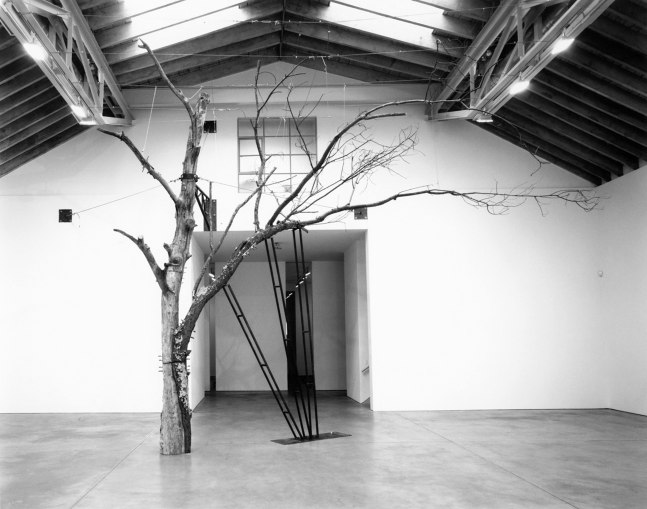 Installation view, Zoe Leonard, Paula Cooper Gallery, 534 W 21st Street, New York, September 10 - October 11, 1997. © Zoe Leonard. Courtesy Paula Cooper Gallery, New York. Photo: Tom Powel.