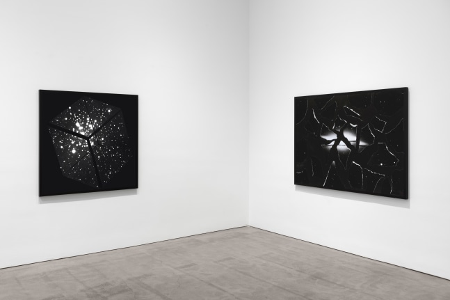 Installation view, Sarah Charlesworth, February 23 – March 23, 2019