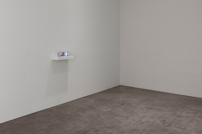 Installation view, Céleste Boursier-Mougenot, Liz Glynn, Robert Grosvenor, Justin Matherly, Paul Pfeiffer, April 4 – May 4, 2019