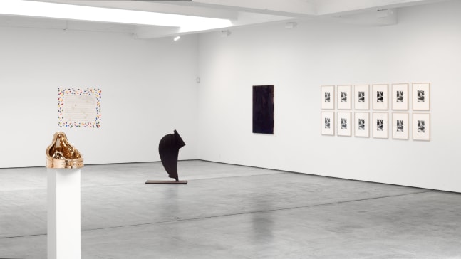 Installation view, After Image, Paula Cooper Gallery, 521 W 21st Street, New York. May 2 - June 26, 2009.
