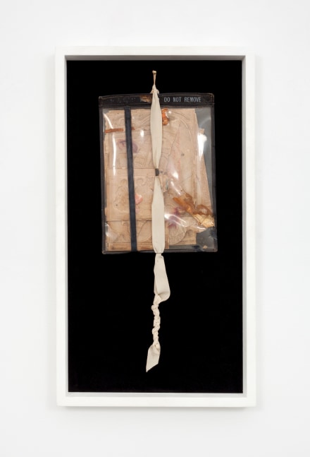 Bruce Conner UNTITLED (DO NOT REMOVE), 1960 plastic pouch, ribbon with tape, embossed paper, postage stamps [verso and recto], feathers, shells and mylar  portfolio with ribbon: 22 1/4 x 8 1/2 x 1/2 in. (56.5 x 21.6 x 1.3 cm) frame: 26 1/2 x 8 1/2 x 2 in. (67.3 x 21.6 x 5.1 cm)