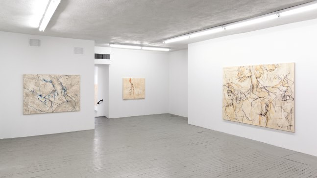 Installation view, Beatrice Caracciolo, Cinabrese, March 8 – April 5, 2014