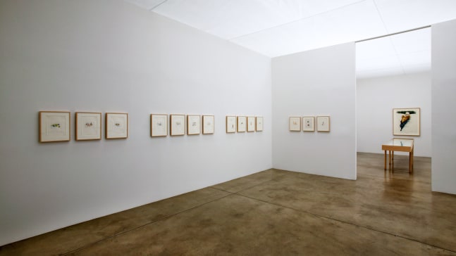 Installation view, Images à la Carte, Paula Cooper Gallery, 534 W 21st Street, New York. April 24 - July 2, 2004. Courtesy Paula Cooper Gallery, New York. Photo: Tom Powel.