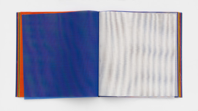 Dan Walsh Textilene, 2008 textilene 13 x 12 3/4 in. (33 x 32.4 cm) Edition of 30, 2 APs