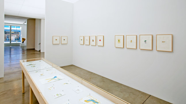 Installation view, Images à la Carte, Paula Cooper Gallery, 534 W 21st Street, New York. April 24 - July 2, 2004. Courtesy Paula Cooper Gallery, New York. Photo: Tom Powel.