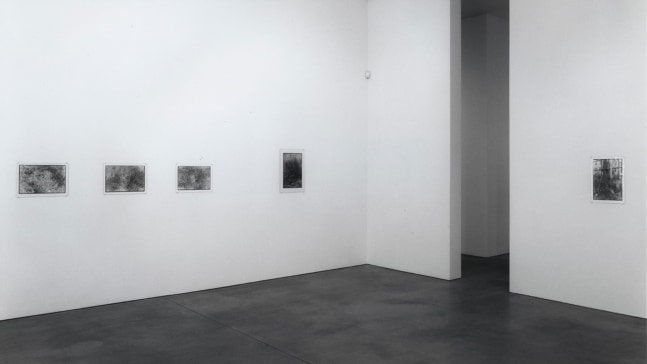 Installation view, Recent Photographs, Paula Cooper Gallery, 534 W 21st Street, New York. © Zoe Leonard. Courtesy Paula Cooper Gallery, New York. Photo: Dorothy Zeidman.