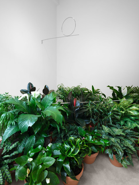 Installation view, Luciano Fabro, Paula Cooper Gallery, New York, May 6 – July 28, 2023. © Silvia Fabro (Archivio Luciano e Carla Fabro). Photo: Steven Probert