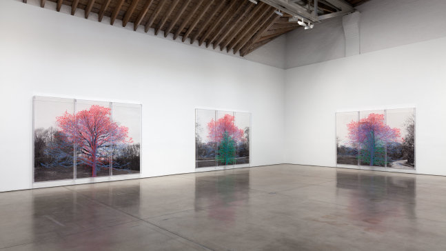 Installation view, Charles Gaines, March 31 – April 30, 2016